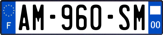 AM-960-SM