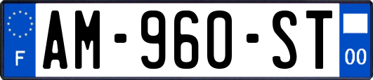 AM-960-ST