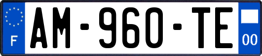 AM-960-TE