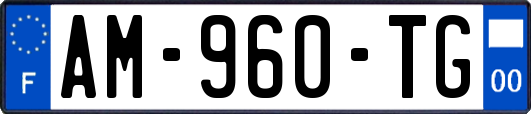 AM-960-TG