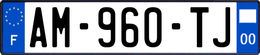 AM-960-TJ