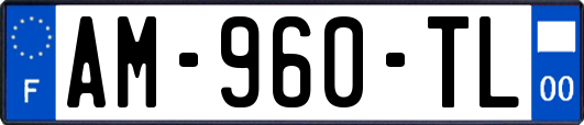 AM-960-TL