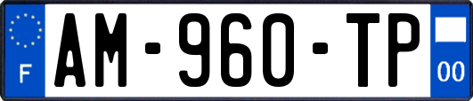 AM-960-TP