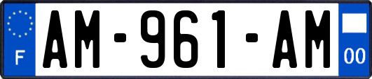 AM-961-AM