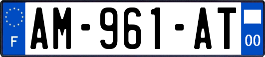 AM-961-AT