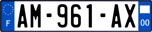 AM-961-AX