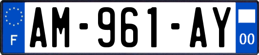 AM-961-AY