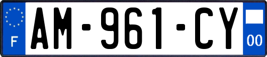 AM-961-CY