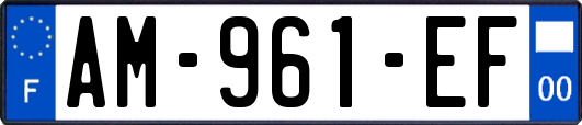 AM-961-EF