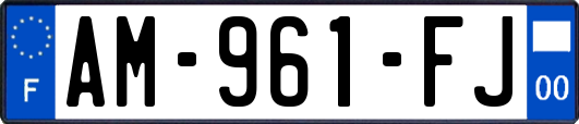 AM-961-FJ