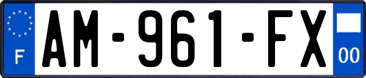 AM-961-FX