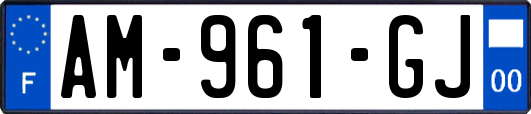 AM-961-GJ