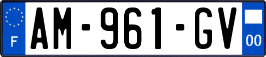 AM-961-GV
