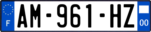 AM-961-HZ