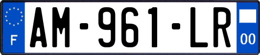 AM-961-LR