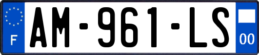 AM-961-LS