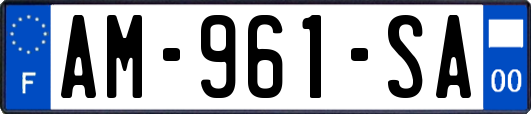AM-961-SA