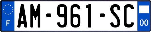 AM-961-SC