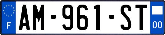 AM-961-ST