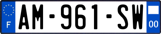 AM-961-SW
