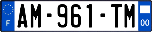 AM-961-TM