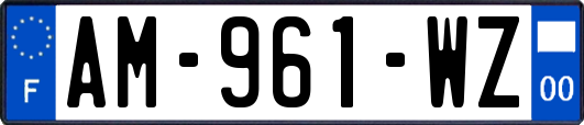 AM-961-WZ