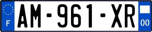 AM-961-XR