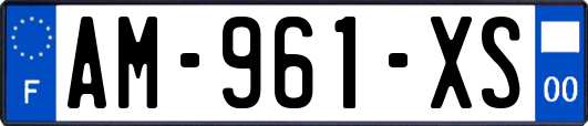 AM-961-XS