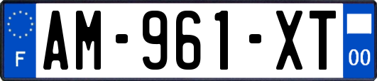 AM-961-XT