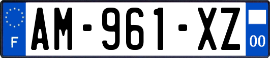 AM-961-XZ