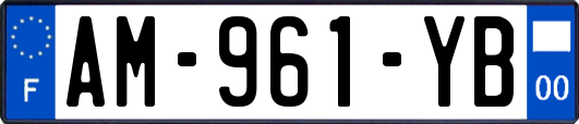 AM-961-YB