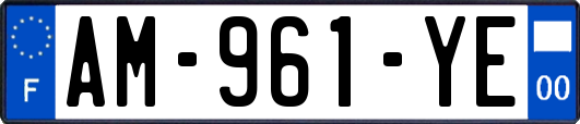AM-961-YE