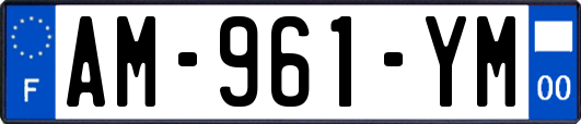 AM-961-YM