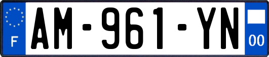 AM-961-YN