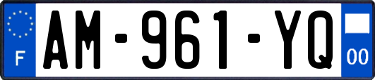 AM-961-YQ