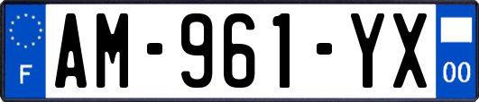 AM-961-YX