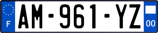 AM-961-YZ