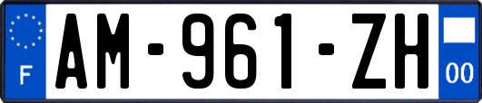 AM-961-ZH