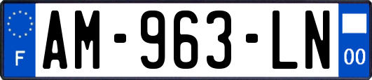 AM-963-LN