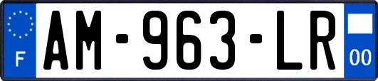 AM-963-LR