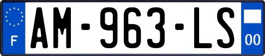 AM-963-LS