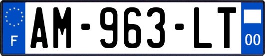 AM-963-LT
