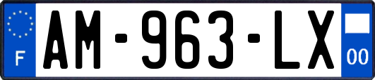 AM-963-LX