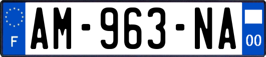 AM-963-NA