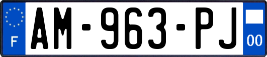 AM-963-PJ