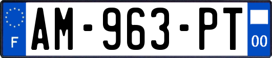 AM-963-PT