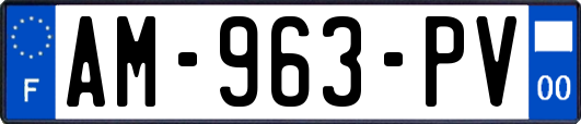 AM-963-PV
