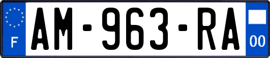 AM-963-RA