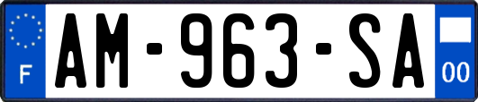 AM-963-SA