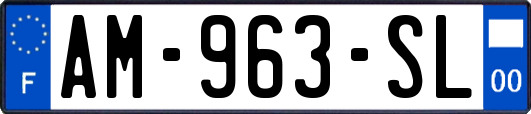 AM-963-SL